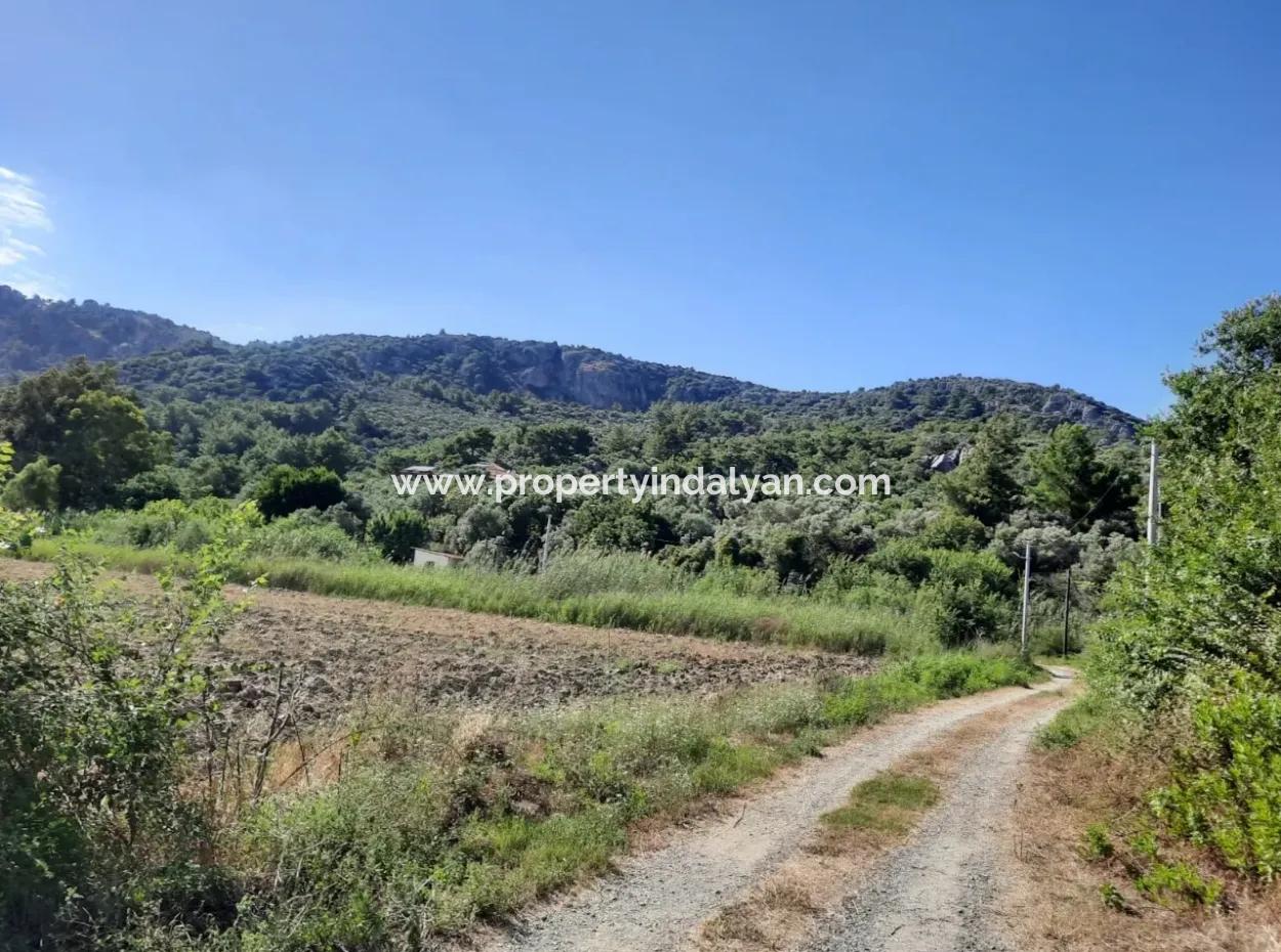 Oriya Fevziye Land Zum Verkauf In Null-Straße