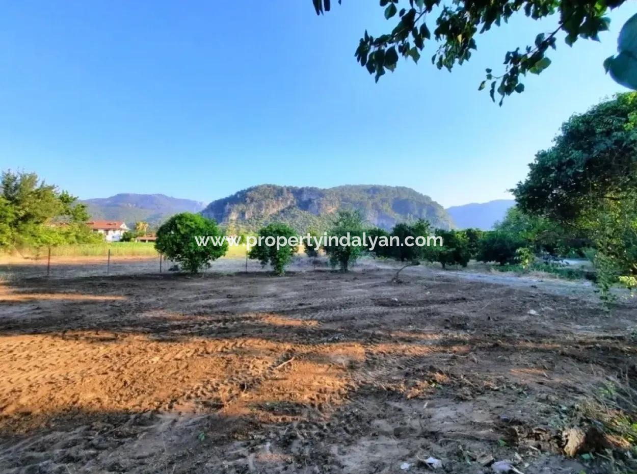 Bogenschützen Grundstück Zum Verkauf Mit Eigentumsurkunde