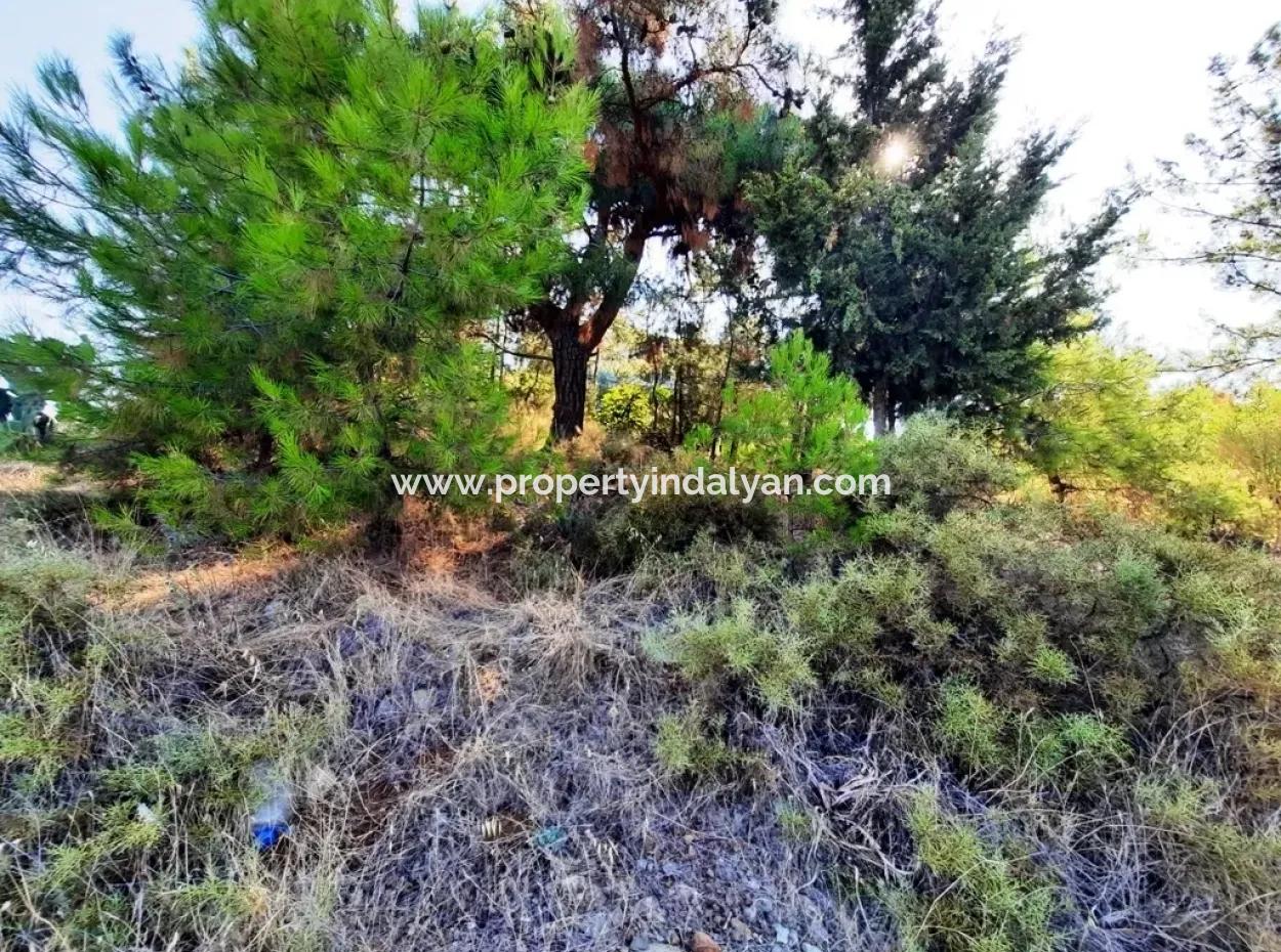 Grundstück Mit Meerblick Zum Verkauf In Fethiye Ciftlikkoy
