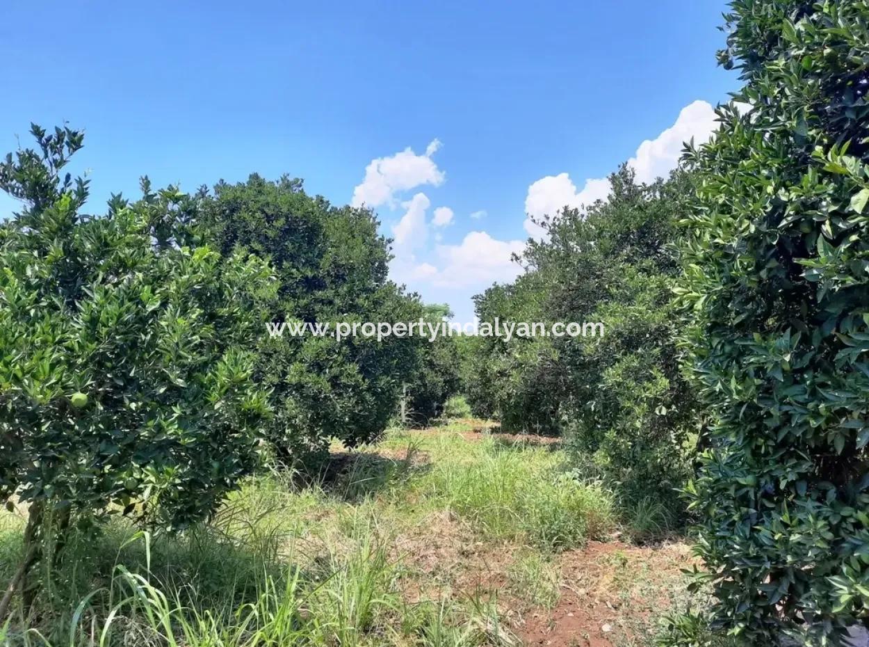 Dorf Haus Zum Verkauf In Koycegiz Dalyan Dorf