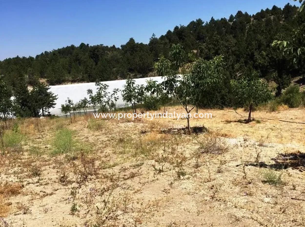 Denizli 'Ameli Gökéyakada Nussbaumgarten Kaufen