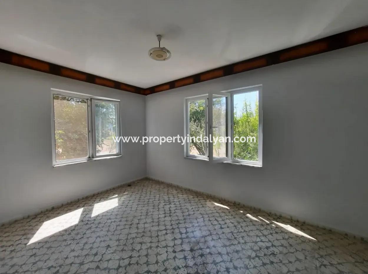 3 1 Wohnungen Zur Miete In Dalyanda