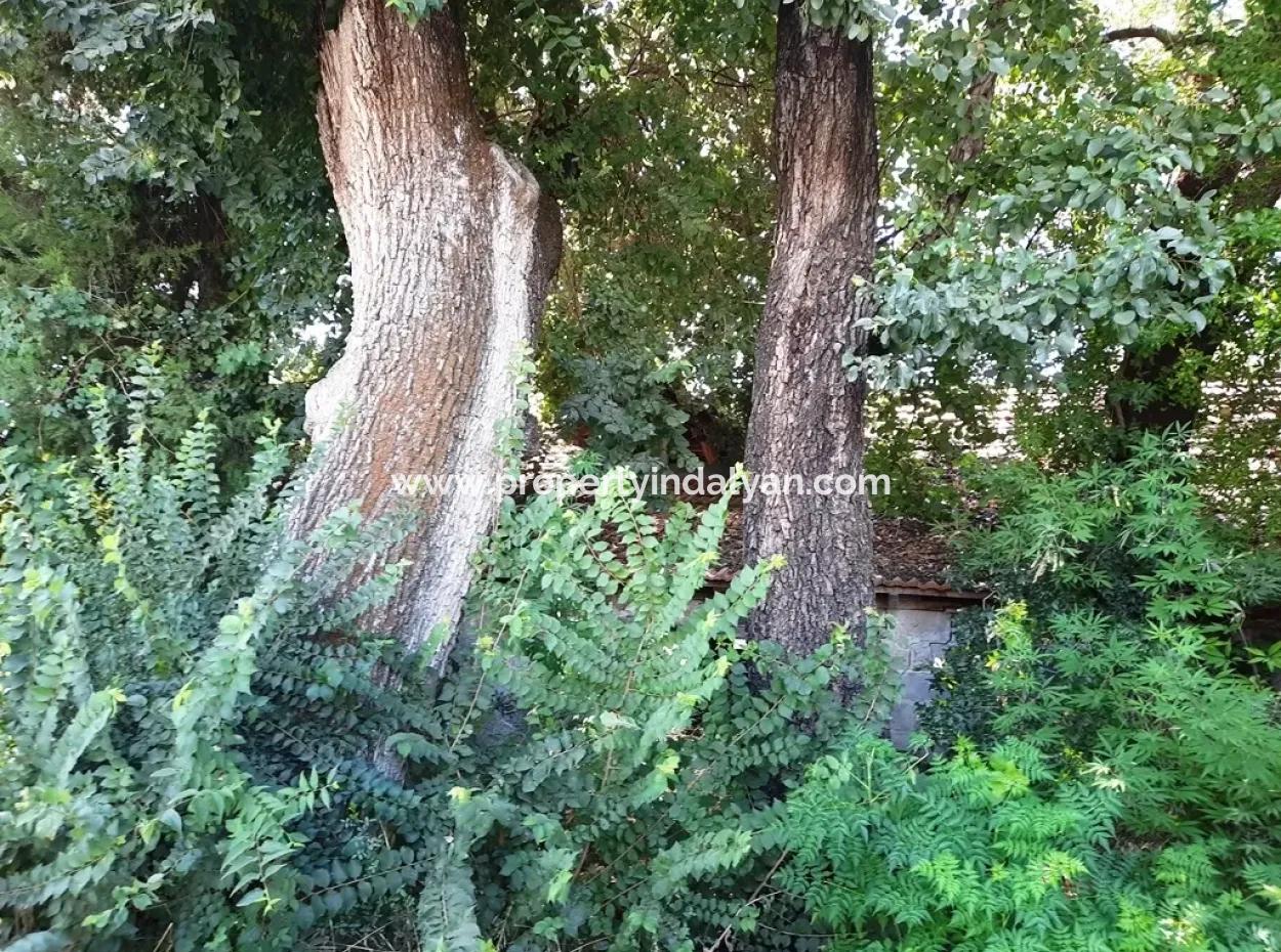 Null Land Zum Verkauf Auf Ortaca Gefärbt