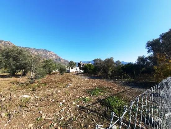 2.000 M2 Kelepir Freistehendes Zoning-Land Zum Verkauf In Köyce-Inz Topars