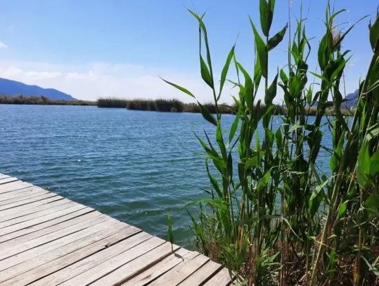 Mugla Dalyan Granatapfelgarten Geeignet Für Null Investition In Den Kanal Zu Verkaufen