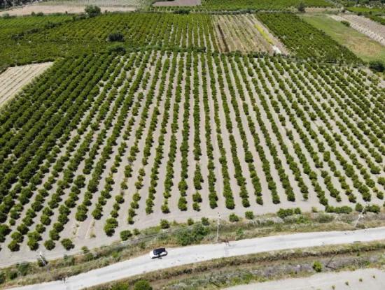 13 500 M2 Feld Zum Verkauf In Ortaca Mergenli
