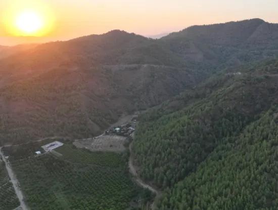 Freistehender 5.000 M² Zitronengarten Mit 150 M² Baurecht In Ortaca Çaylı Zum Verkauf Oder Tausch