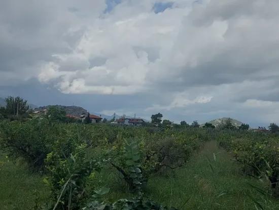 5.000 M2 Grundstück Mit 150 M2 Baurecht Stehen In Muğla Dalyan Zum Verkauf