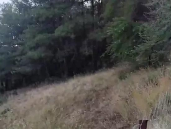 Muğla Ula Çiçek Main Road Im Grünen 2.500 2 Freistehendes Grundstück Mit Eigentumsurkunde Zum Verkauf.