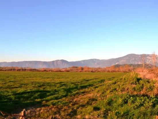 Dringende Grundstücke Zum Verkauf In Ula Karabogurtlen Schnäppchen