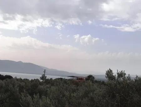 Land Mit Seeblick Zum Verkauf In Köycee'iz Zeytin Bereich