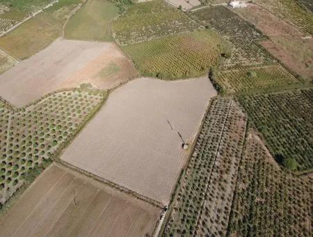 Freistehende Fruchtbare Schnäppchen Land Zum Verkauf In Ortaca Mergenli