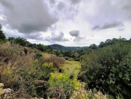 Dalyan Gökbel 13.100 M2 Acker Zum Verkauf In Der Natur