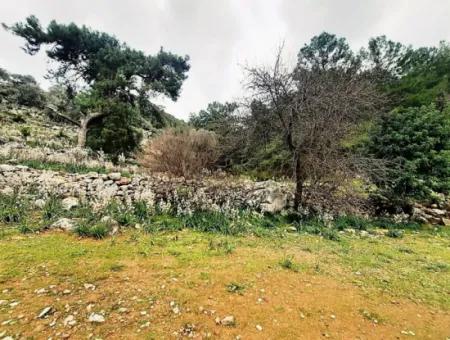 Dalyan Gökbel 13.100 M2 Acker Zum Verkauf In Der Natur