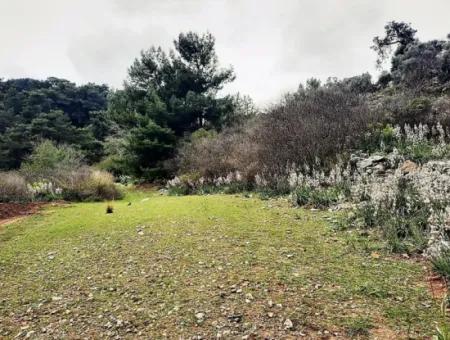 Dalyan Gökbel 13.100 M2 Acker Zum Verkauf In Der Natur