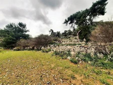 Dalyan Gökbel 13.100 M2 Acker Zum Verkauf In Der Natur