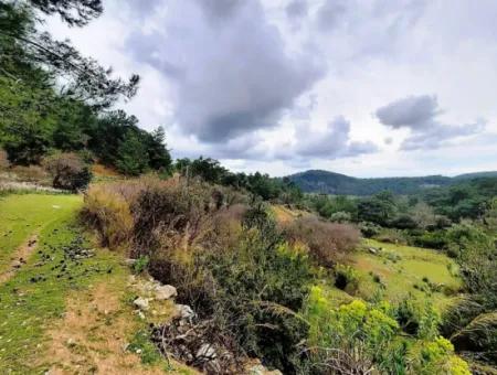 Dalyan Gökbel 13.100 M2 Acker Zum Verkauf In Der Natur