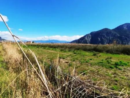 4830 M2 Land In Der Nähe Der Strandstraße Iztuzu Zum Verkauf In Mugla Dalyan