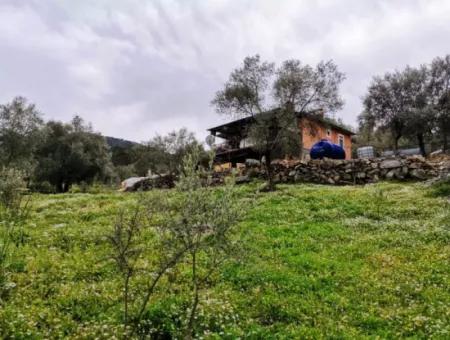 Freistehendes Dorfhaus In Der Natur Zu Verkaufen In Fethiye Gocek Ta'basi