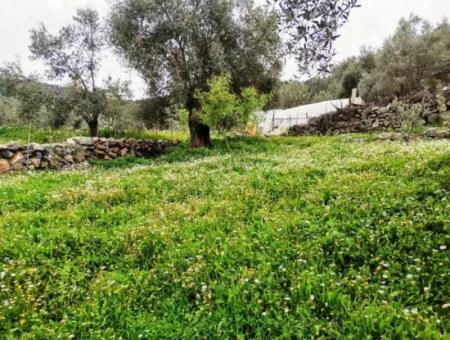 Freistehendes Dorfhaus In Der Natur Zu Verkaufen In Fethiye Gocek Ta'basi