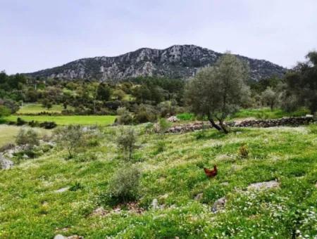 Freistehendes Dorfhaus In Der Natur Zu Verkaufen In Fethiye Gocek Ta'basi