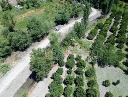 Köyceğizde See Schließen 2 650M2 Freistehender Garten Zum Verkauf