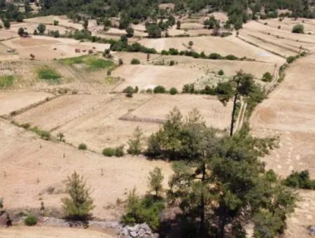 Mugla Menteşe Denizova 1869 M2 Schnäppchenfeld Zum Verkaufen