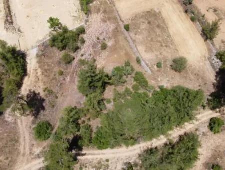 3031 M2 Freistehendes Feld Zu Verkaufen In Mugla Mentese Denizova