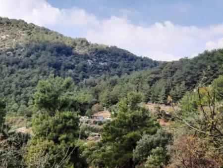 Mugla Dalyan Gökbel 320 M2 Schnäppchengrundstück Zum Verkauf