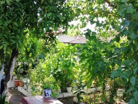 Dorfhaus Zu Verkaufen In Mugla Köycegiz Dögüsbelen