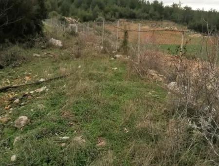 30949 M2 Fruchtbares Feld Zu Verkaufen In Mugla Dalaman Gürleyik