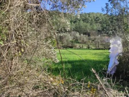 Mugla Ula Karabörtlen 2956 M2 Freistehendes Grundstück Zum Verkauf