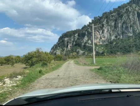 Mugla Dalyan Marmarlı 1500 M2 Grundstück Zum Verkauf