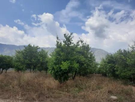 Köyceğiz Toparlar Seeblick 2 100 M2 Zonengrundstück Und 2 Häuser Zum Verkauf