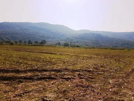 Region Des Fruchtbaren Landes Vermietung