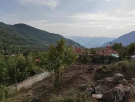 Muğla Köyceğiz Yayla Mah 560 M2 Grundstück Zum Verkauf