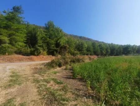 Muğla Ortaca Ekşiliyurt 8.000 M2 Fruchtbares Land Zum Verkauf