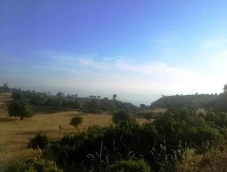 Grundstück Mit Meerblick Zum Verkauf In Boğaziçi Seydikemer