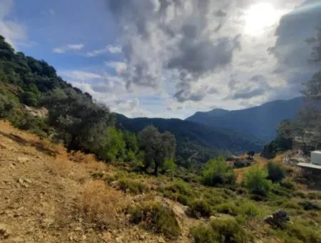 Muğla Dalyan Gökbelde 7 270 M2 Freistehende Eigentumsurkunde Land Mit Meer- Und Seeblick Zum Verkauf