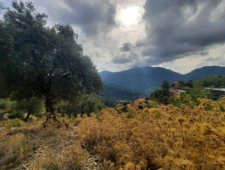 Muğla Dalyan Gökbelde 7 270 M2 Freistehende Eigentumsurkunde Land Mit Meer- Und Seeblick Zum Verkauf