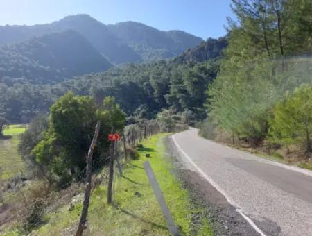 Muğla Dalyan Gökbelde 13 200 M2 Freistehende Eigentumsurkunde Olivenhain Zu Verkaufen