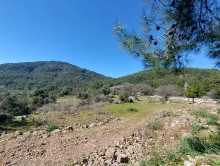 2 400 M2 Feld Zum Verkauf In Muğla Ortaca Gökbelde Natur