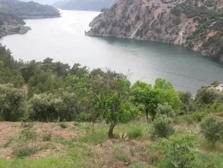 Ackerland Zum Verkauf In Dalaman Bozbel Auch Mit Blick Auf Den See Damm