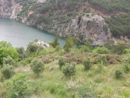 Ackerland Zum Verkauf In Dalaman Bozbel Auch Mit Blick Auf Den See Damm