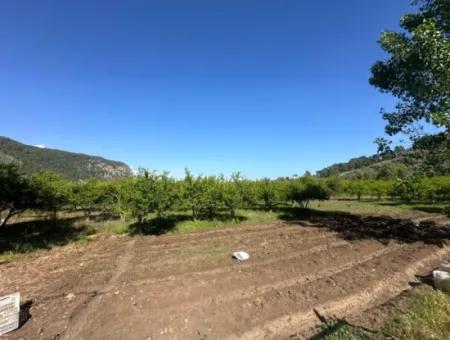1700 M2 Grundstück Zu Verkaufen In Ortaca Mergenli