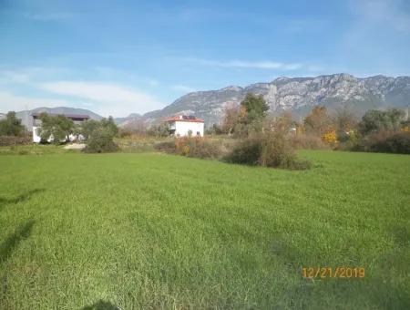 Land Zum Verkauf In Bargain Detached Zeytinalani