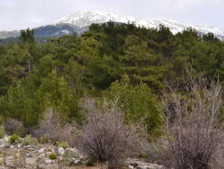 Zum Verkauf Schnäppchen Land In Fethiye Ta Sty