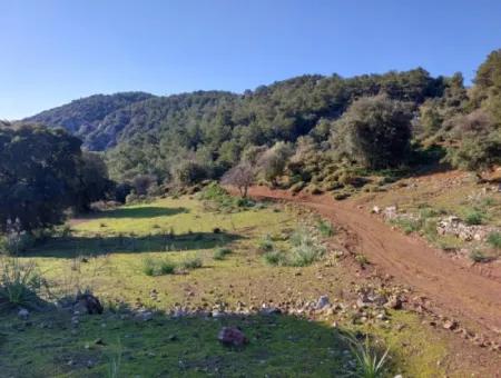 5.216 M2, 2B Grundstück Zum Verkauf In Ortaca Gökbelde Mit Freistehender Eigentumsurkunde Mit Meerblick