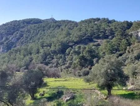 5.216 M2, 2B Grundstück Zum Verkauf In Ortaca Gökbelde Mit Freistehender Eigentumsurkunde Mit Meerblick