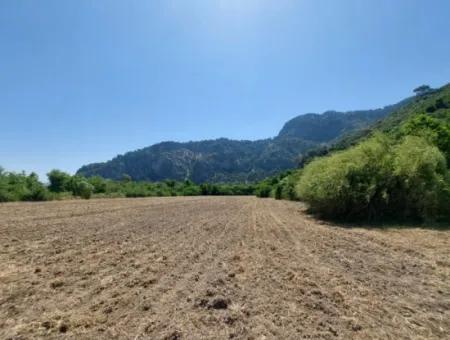 Schnäppchengrundstück Geeignet Für Investitionen In Einem 7.750 M2 Großen Bebauungsplan In Muğla Marmarlı Zum Verkauf